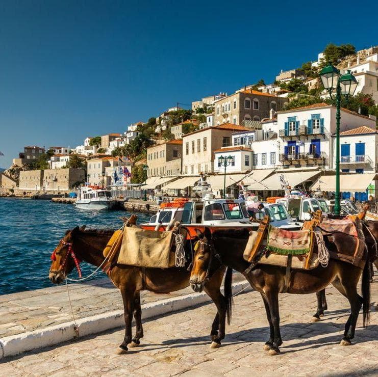 1 Day Cruise to the Islands (Aegina-Poros-Hydra) - Atenas