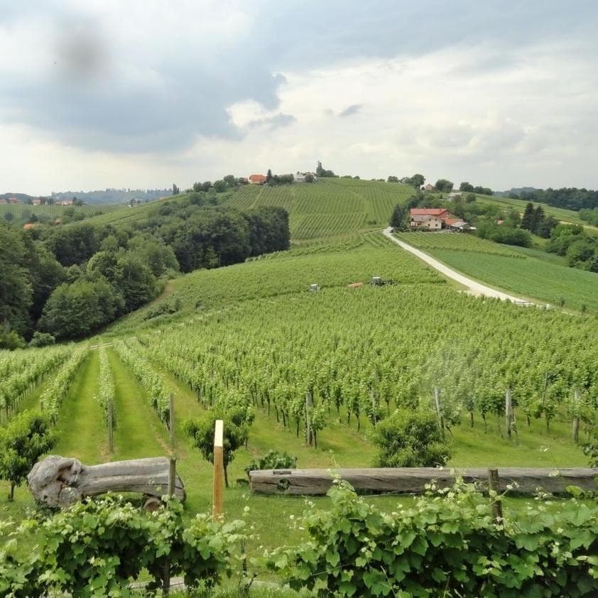 DAY 2 - Mala Nedelja