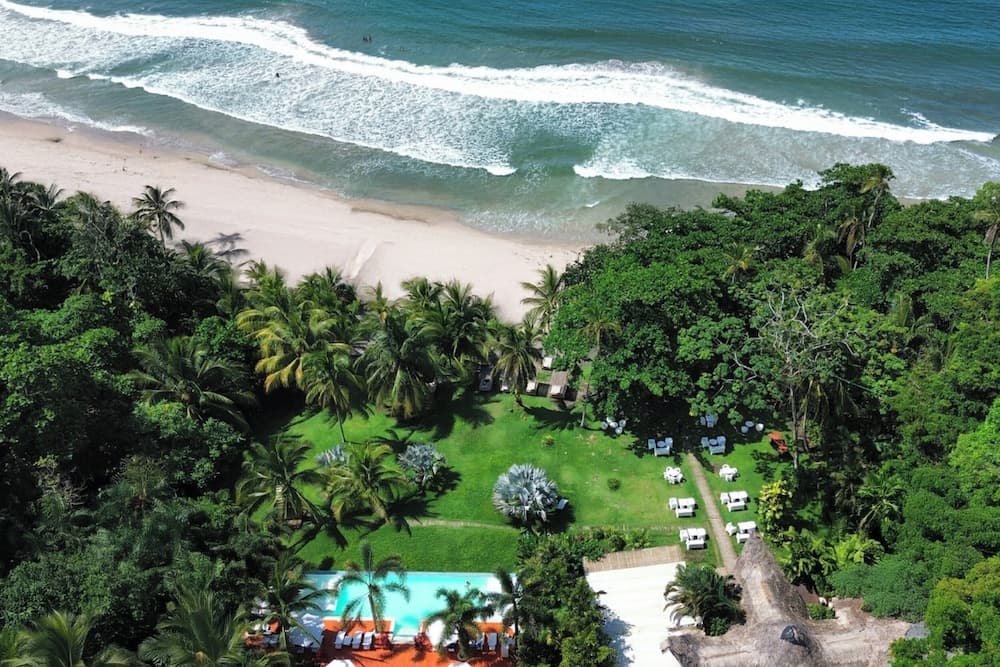 Le Cameleon Puerto Viejo