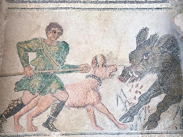 VILLA HISPANO-BRASILEÑA SALAR 2