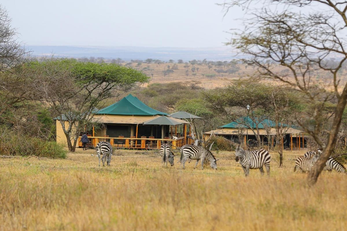 Sound Of Nature Serengeti