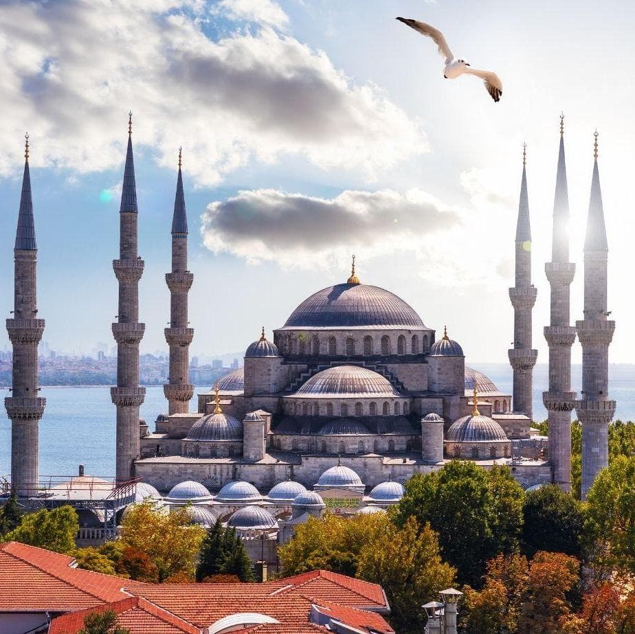 Historical Tour with Lunch in Istanbul - Istanbul