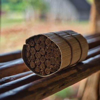 Visita a una fattoria di produzione del tabacco - Viñales, Cuba