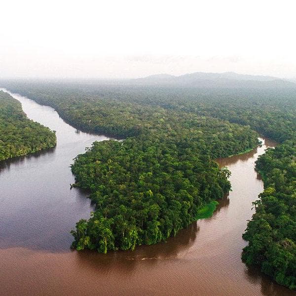 Día 3 : TORTUGUERO NATIONAL PARK - Tortuguero