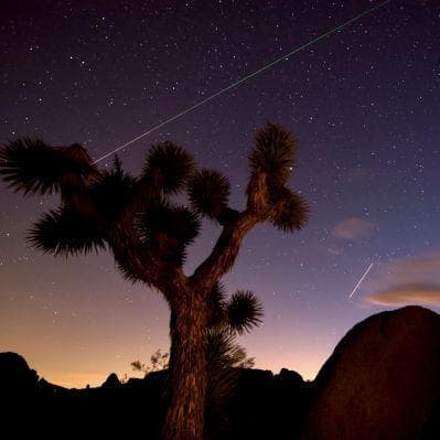 Joshua Tree N.P. - Los Angeles