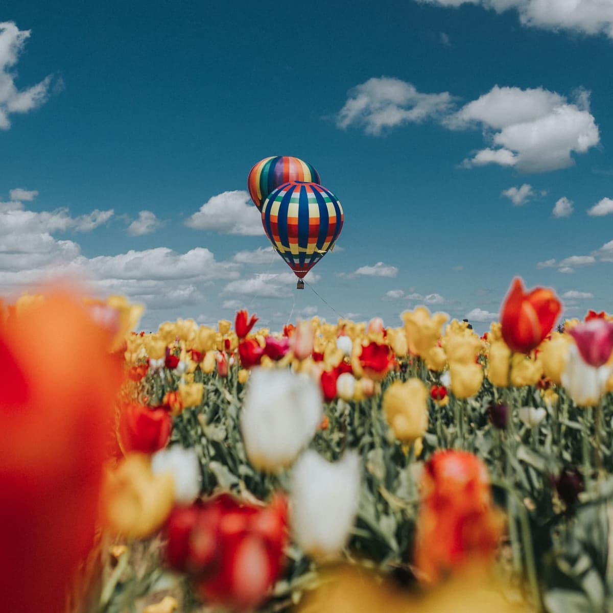 Hot Air Balloon + Motorcycles (Same Location) - مسکو