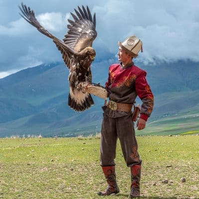 Ammirare la tradizionale caccia con le aquile - Karakol