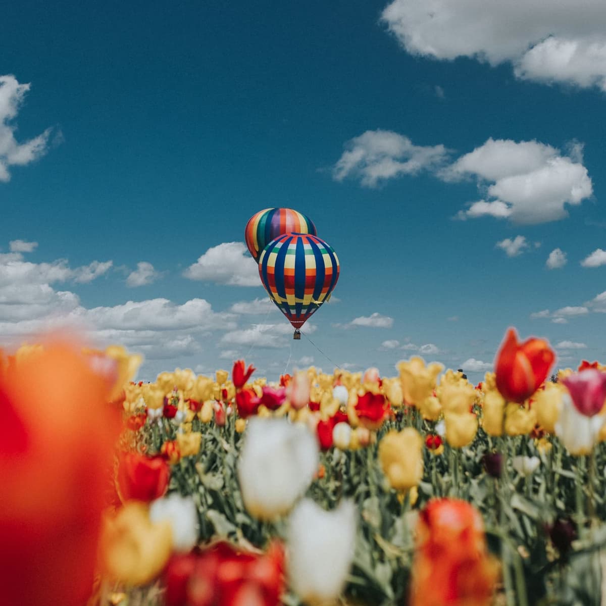 Hot Air Balloon + Motorcycles (Same Location) - Moskova
