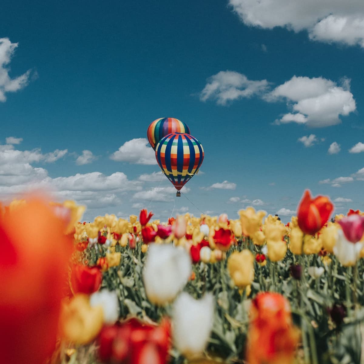 Hot Air Balloon + Motorcycles (Same Location) - Moscow