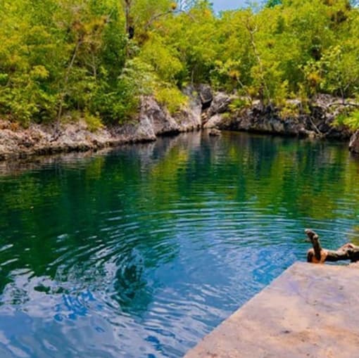 Boat excursion along the Laguna del Tesoro - Guama