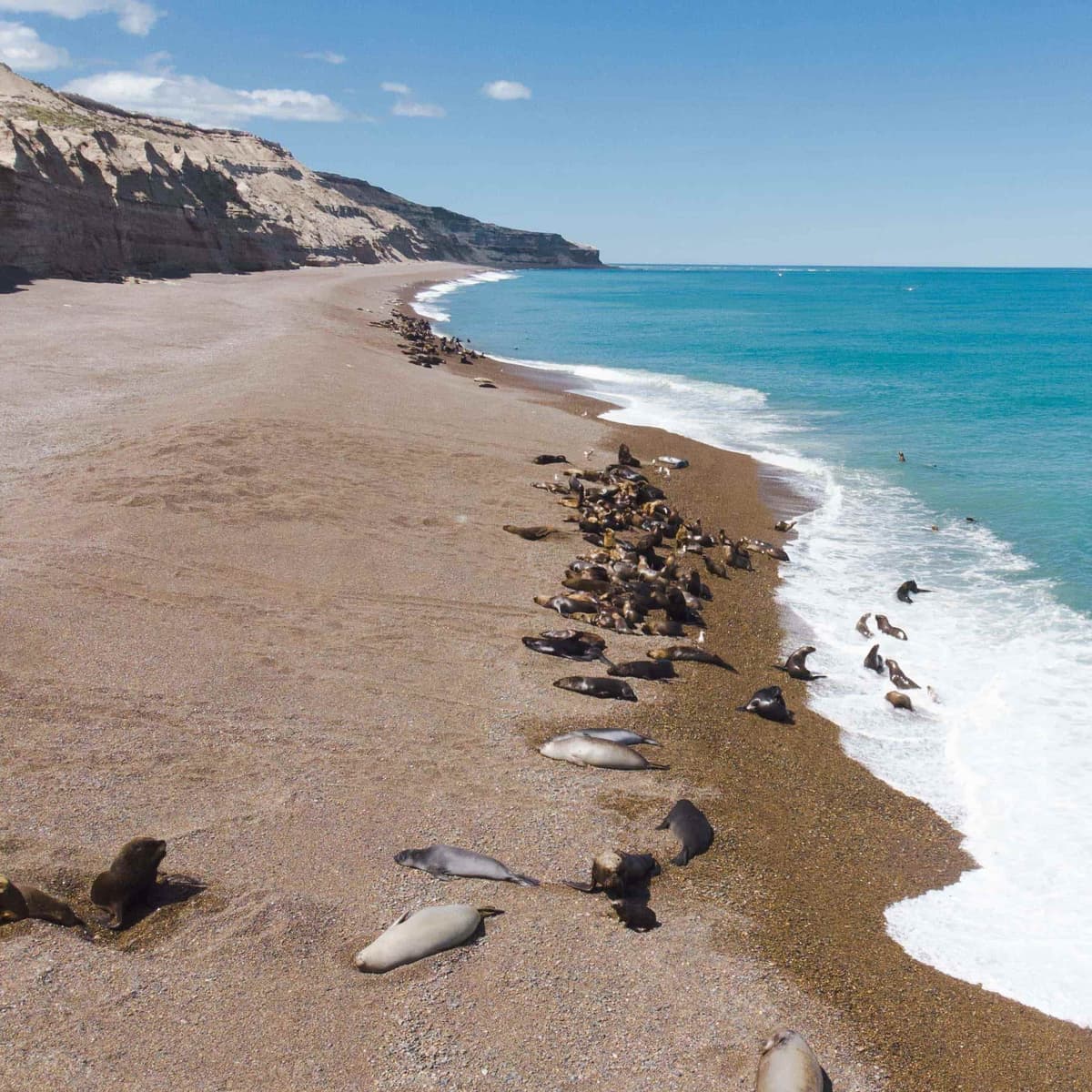 Punta Ninfas Adventure - Puerto Madryn