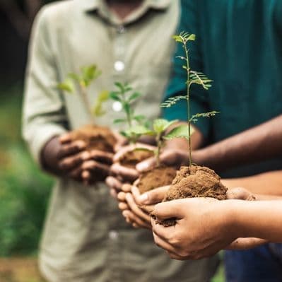 Sostenere il progetto Every 5 Acres piantando un albero a Bugoma - Kibale National Park