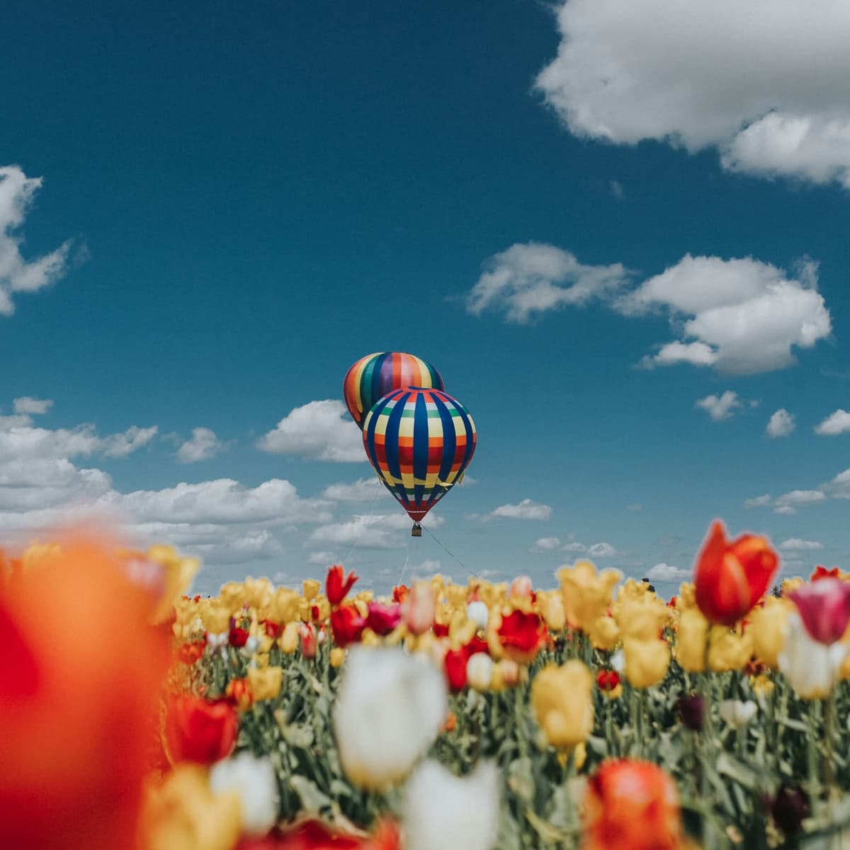 منطاد + موتسيكلات (في نفس الموقع) - موسكو