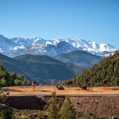 Escursione alla Valle dell’Ourika - Marrakech