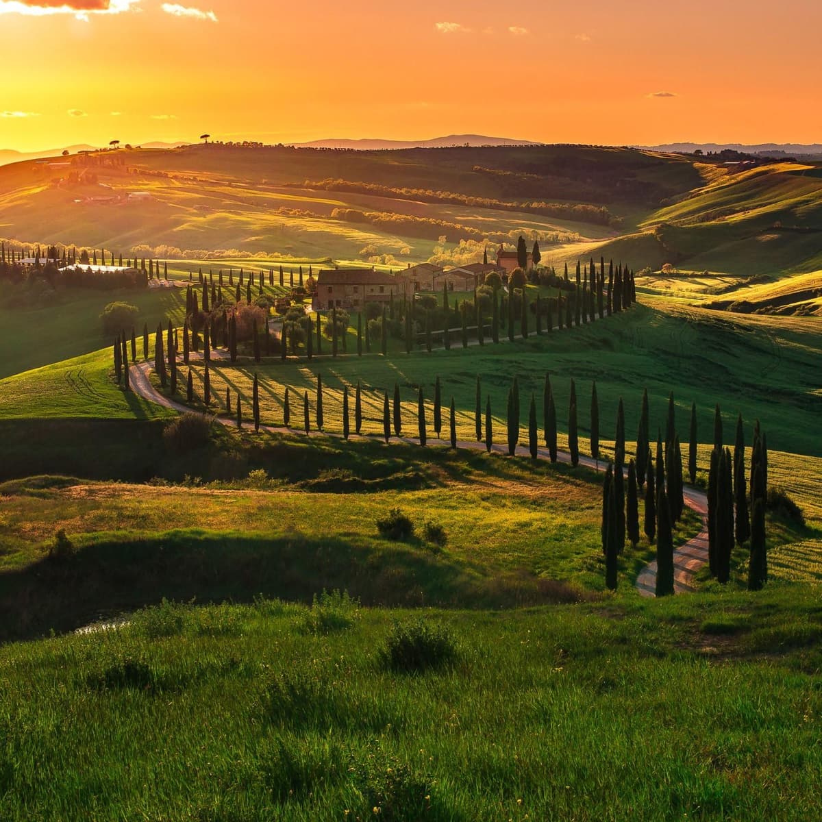 Val d'Orcia Day Trip: Pienza and Montepulciano - Pienza