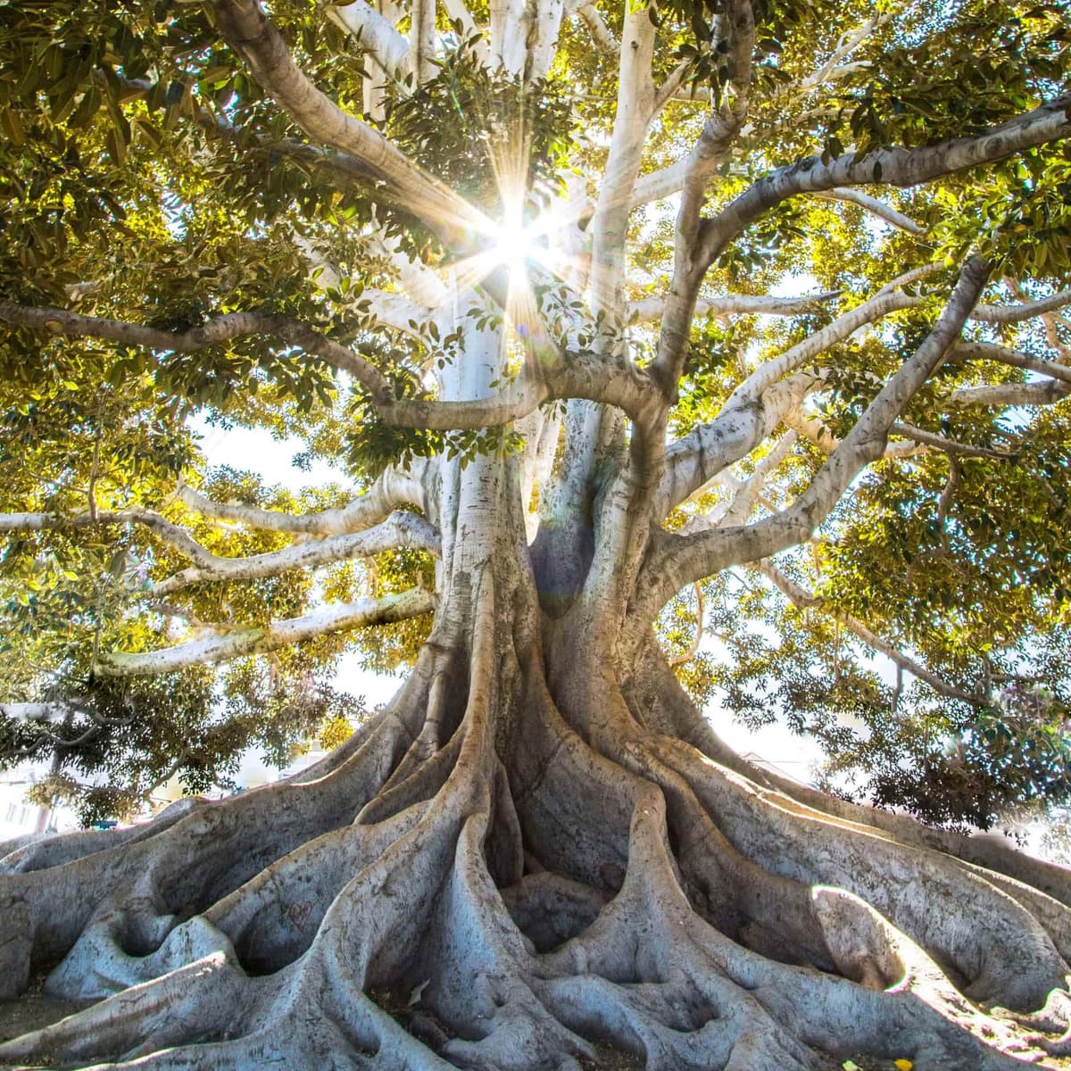 Nature & Culture - Almatı