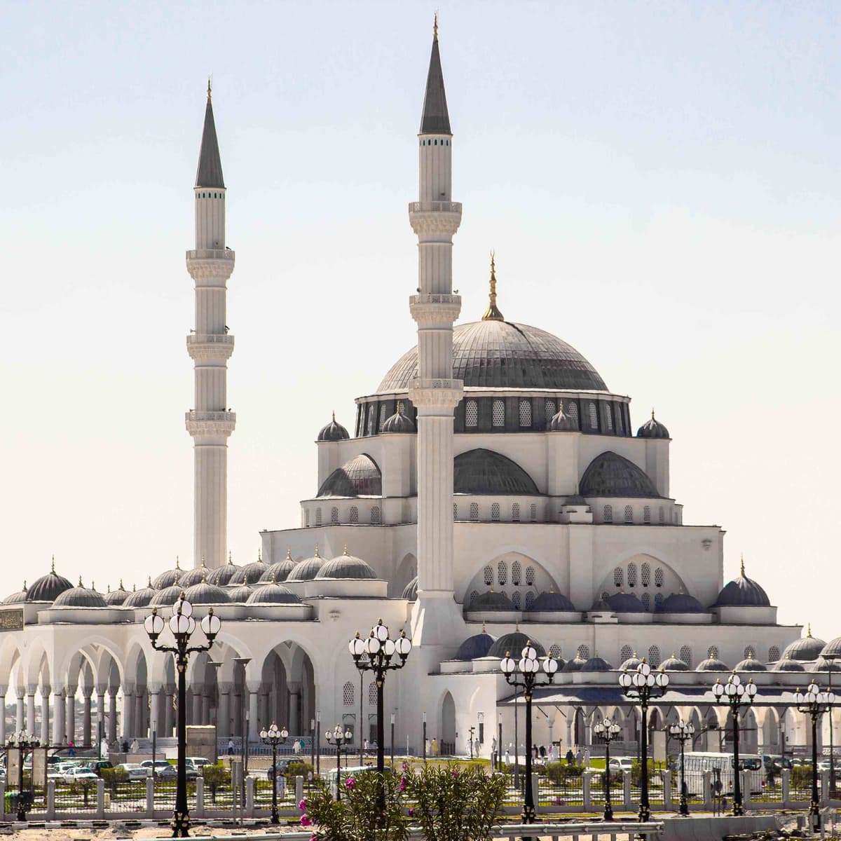 Tour of Sharjah & Ajman (Available only every Thursday) - Dubai