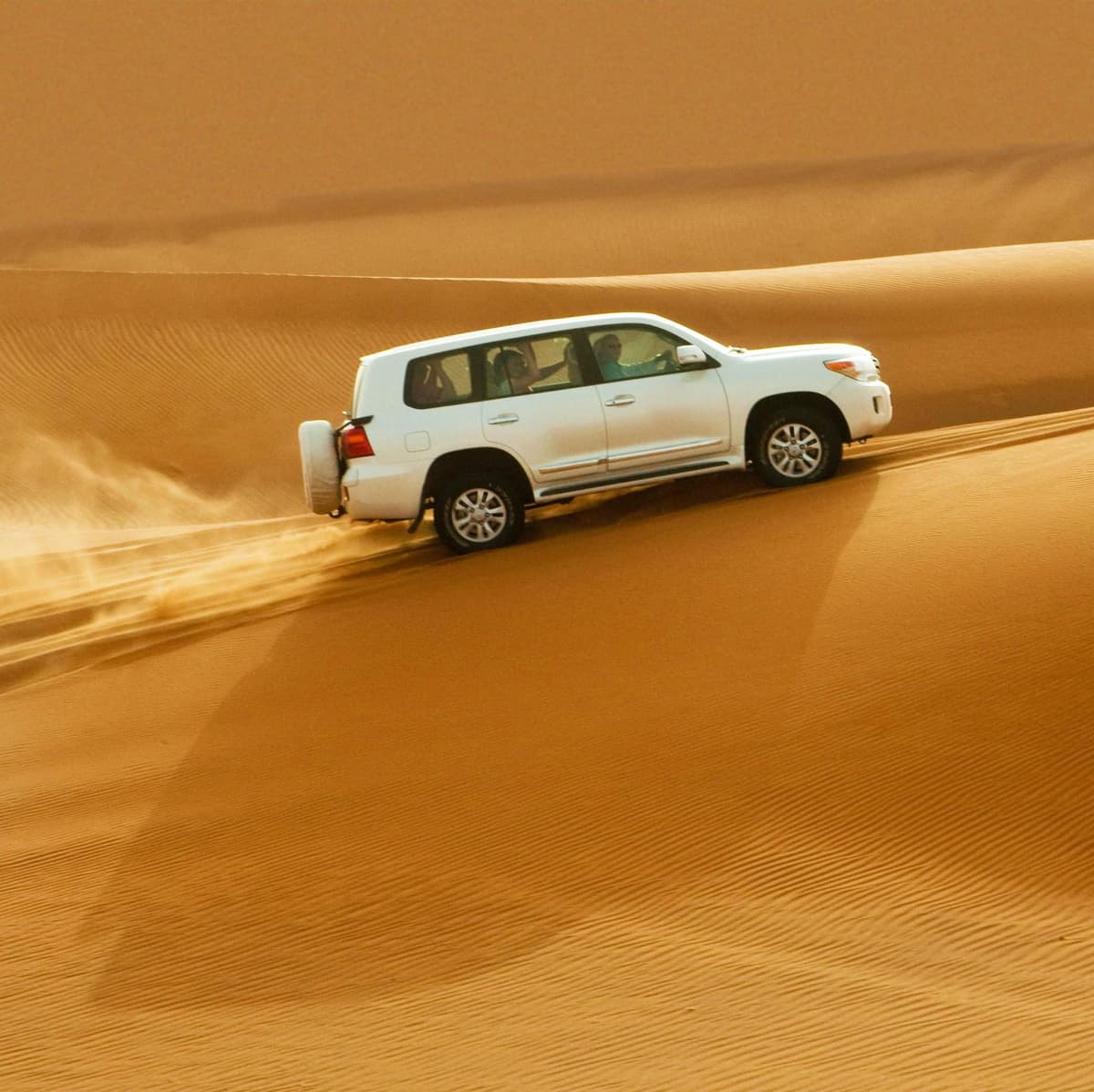 Desert Safari 4 x 4 - Sharjah