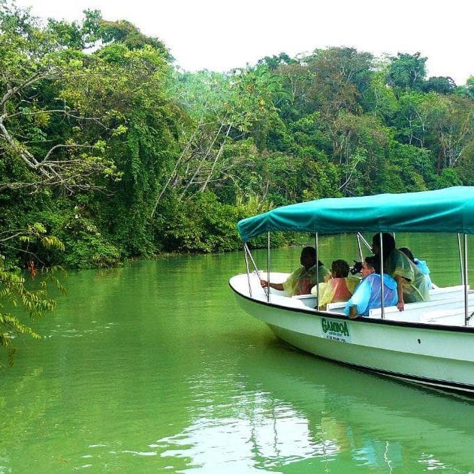 Día 4 Ciudad de Panamá / Gamboa  - Gamboa