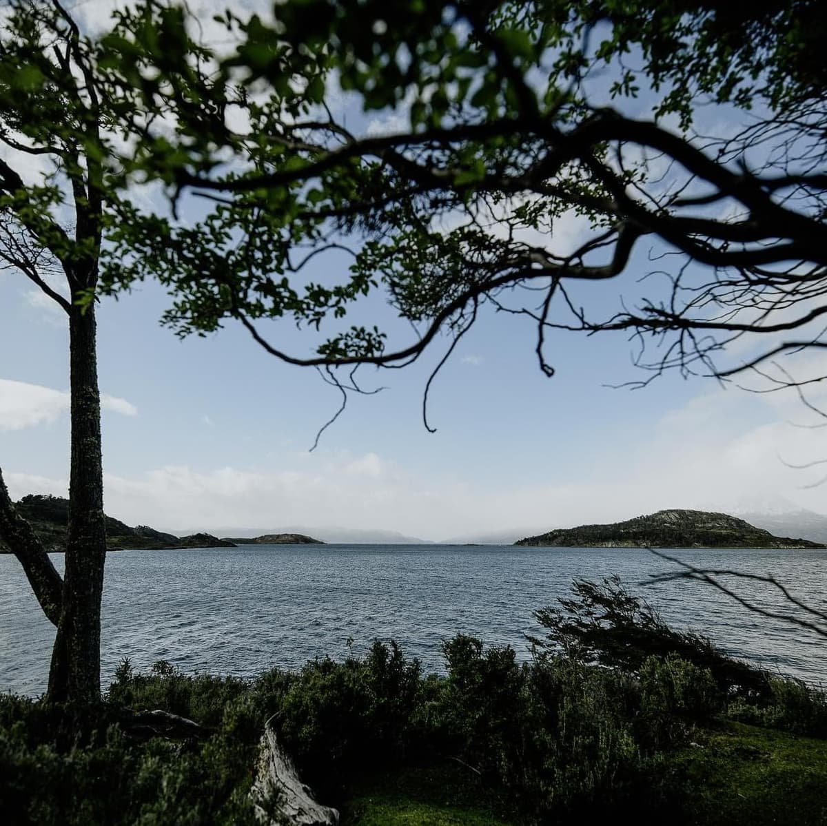 Tierra del Fuego National Park: Trekking through the forests and bays of the Beagle Channel - Ushuaia