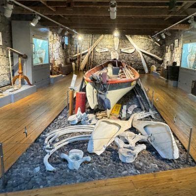 Comprendere la storia e la vita dei balenieri al museo di Pico - Ilha Do Pico