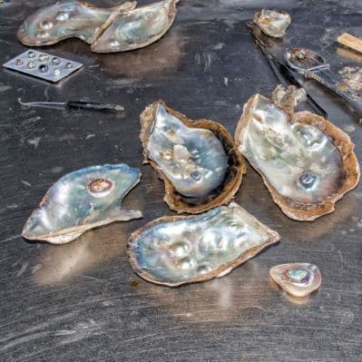 Scoprire la storia delle ama e delle perle giapponesi - Toba