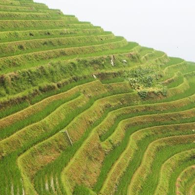 Escursione a Longji - Longji