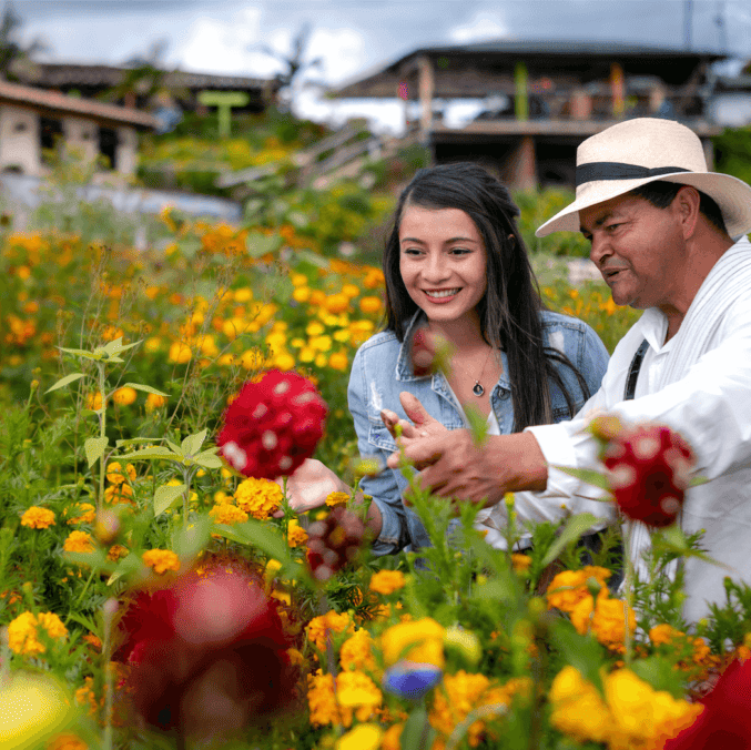 Dia 2. Medellín – Excursão às flores e aos silleteros em Santa Elena - Medellín