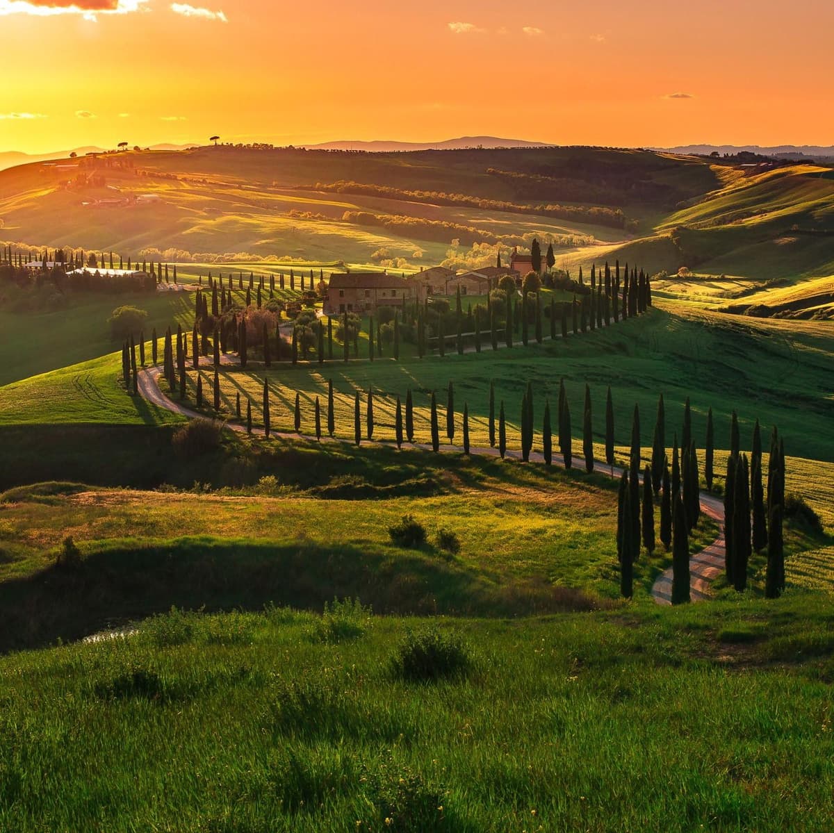 Pienza and Montepulciano Day Tour - Pienza