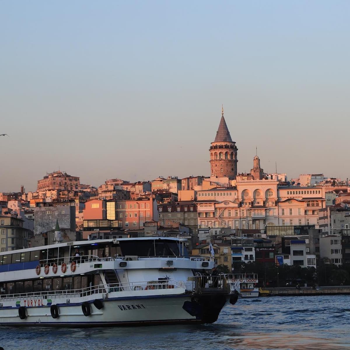 Dinner Cruise on the Bosphorus in Istanbul - Istanbul