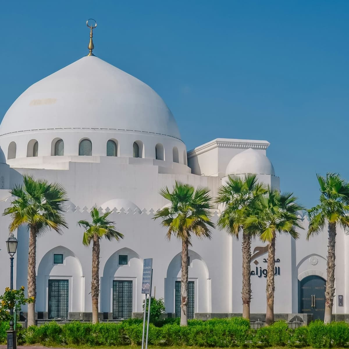 Shore Excursion Options  - Dammam