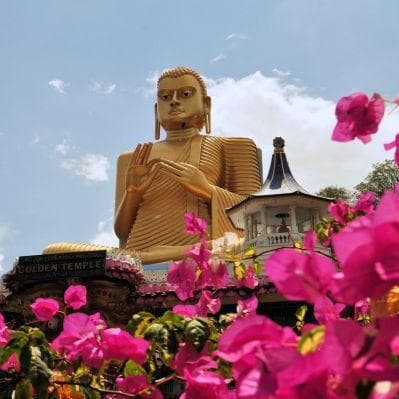 Visita al Tempio d'oro di Dambulla - Kandy
