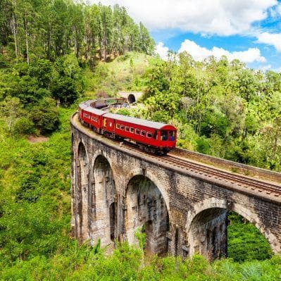 Giornata a spasso nei dintorni di Ella: Little Adam’s Peak e il Nine Arches Bridge - Parco nazionale di Yala