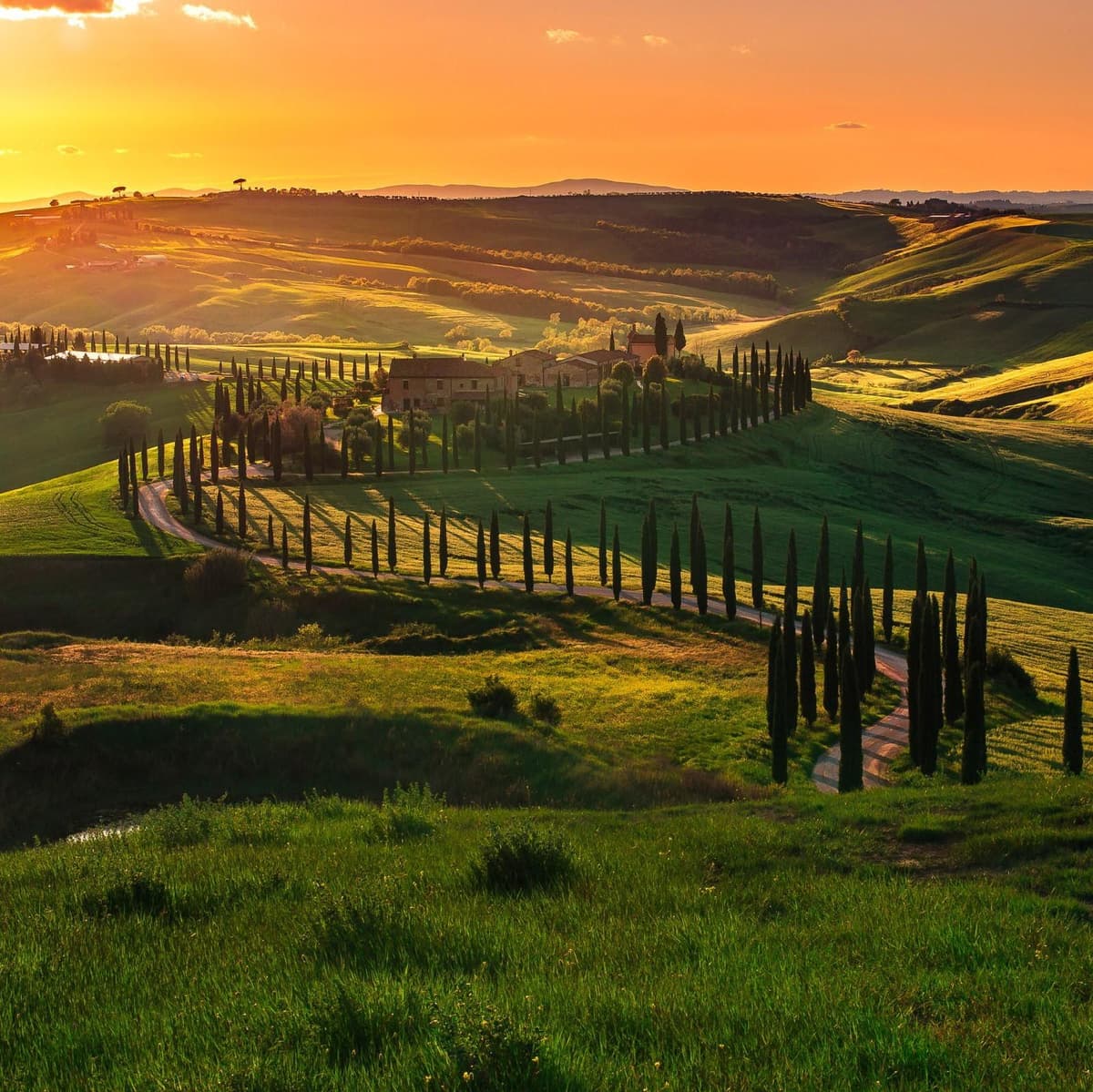 Gita in Val d'Orcia: Pienza e Montepulciano - Pienza
