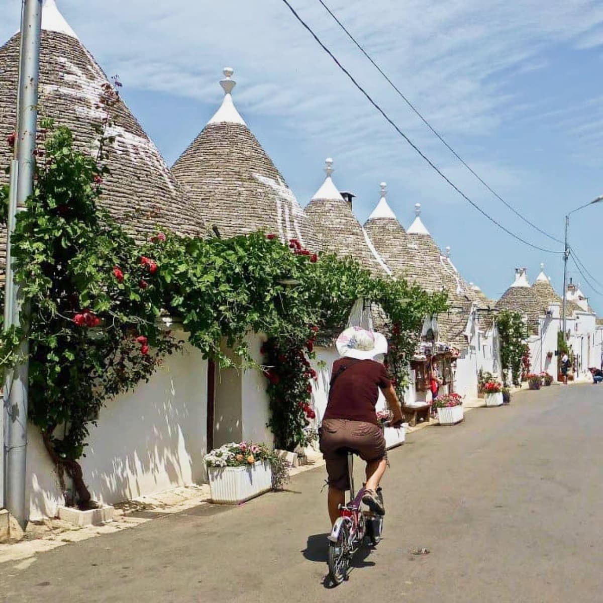 Radtour im Itria-Tal zwischen Natur und Geschmack - Bari (Province)