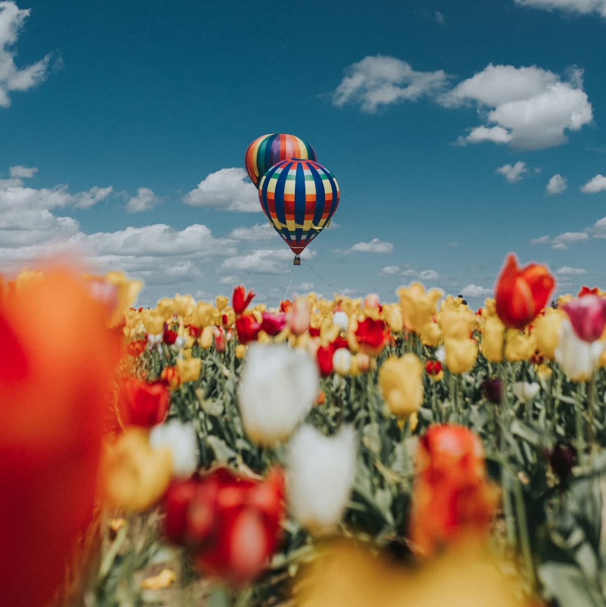 Hot Air Balloon + Motorcycles (Same Location) - Moscow