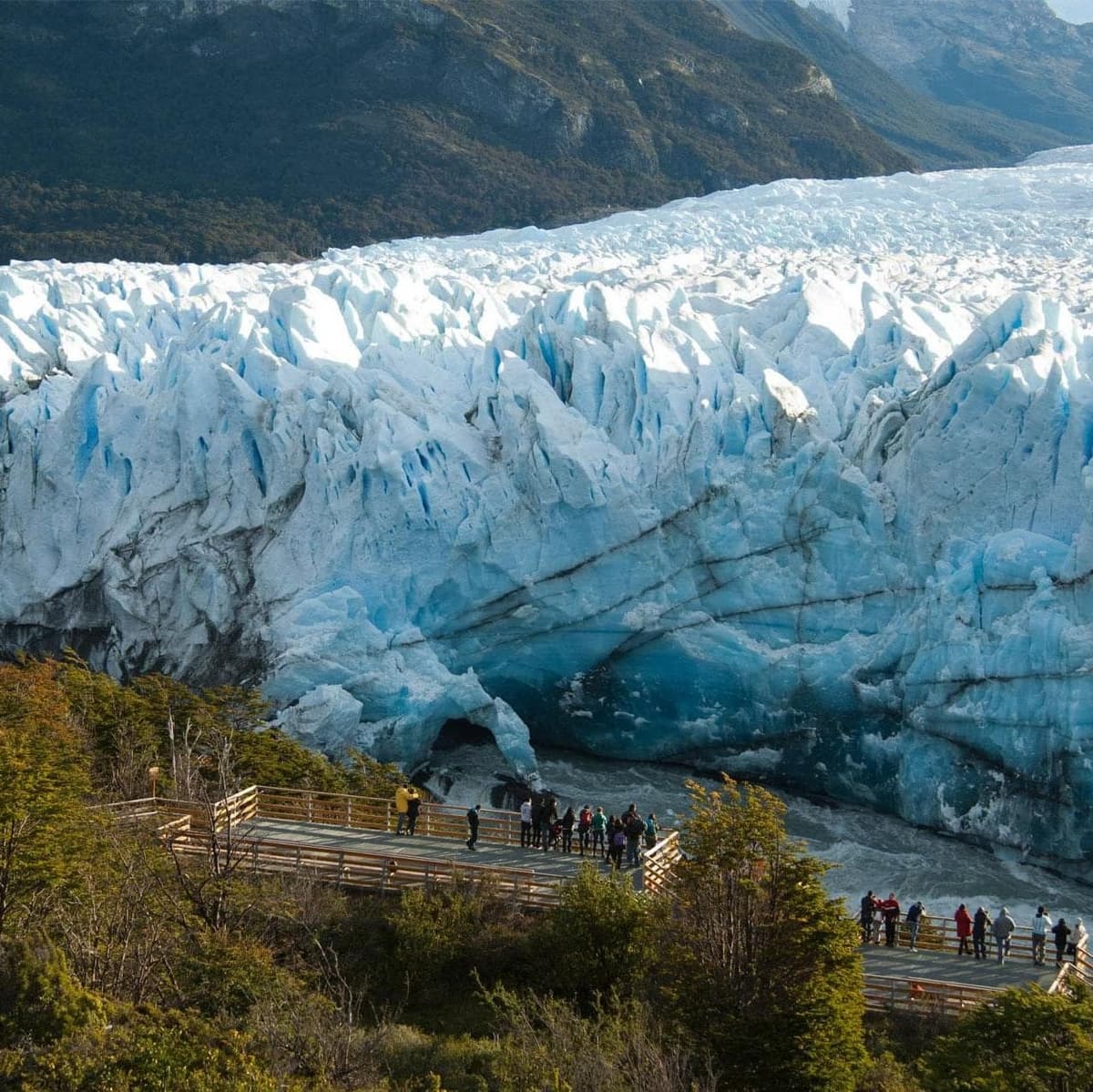 Excursión Perito Moreno - 埃爾卡拉法特