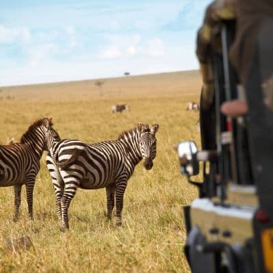 Game drive in 4x4 a Lake Nakuru National Park, Lake Naivasha National Park e Masai Maara National Reserve - Naivasha