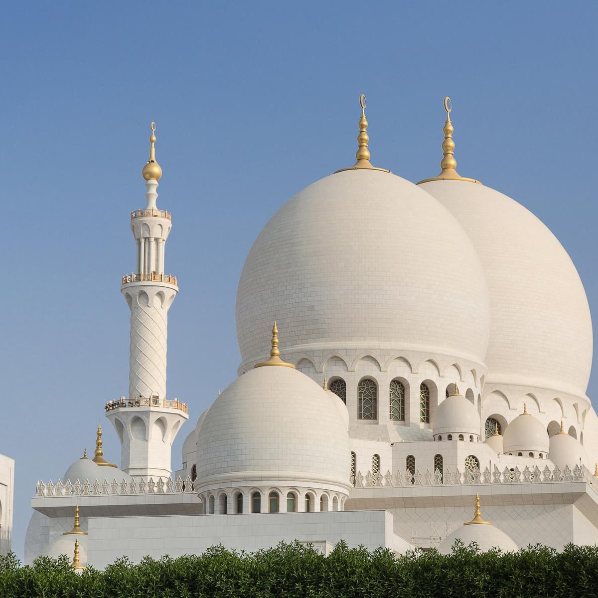 Abu Dhabi Tour 8 hours - Abu Dhabi