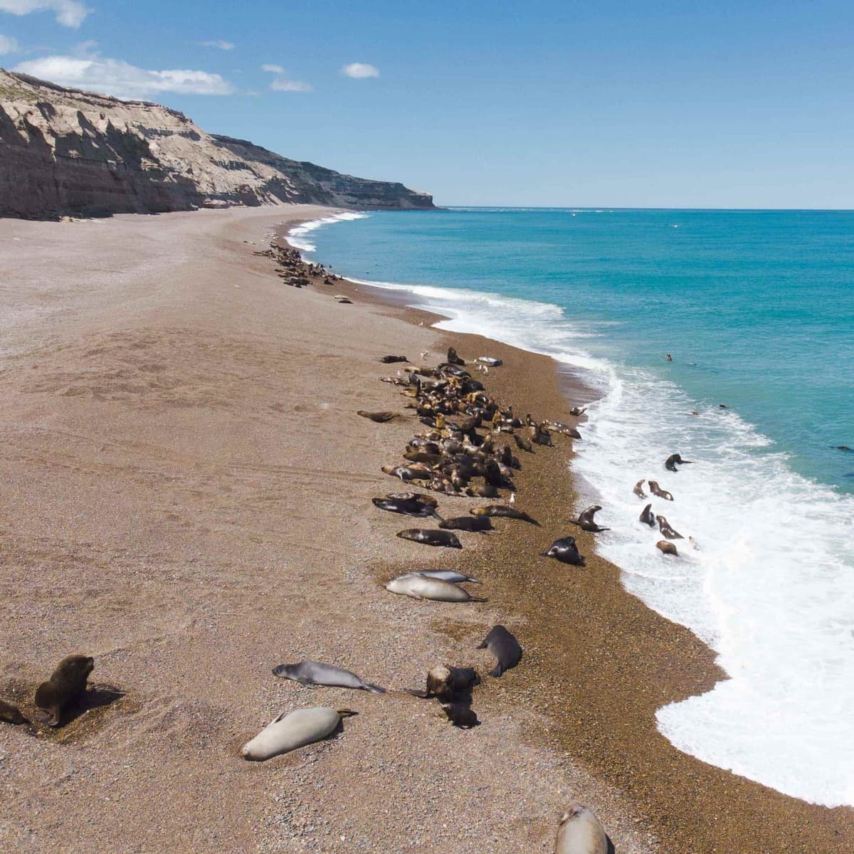 Punta Ninfas Adventure - Puerto Madryn