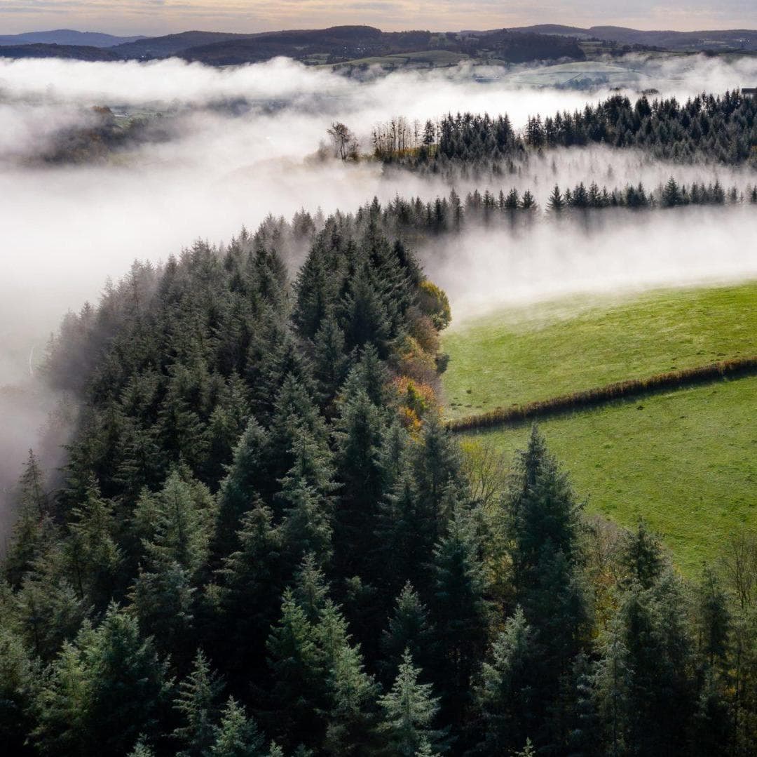 Día 11º: (miércoles) ANNEMASSE - PARÍS - Paris