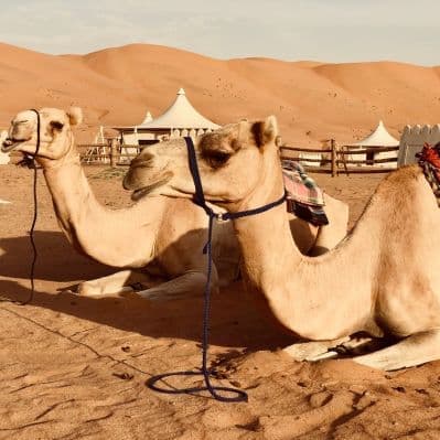 Pernottamento nei magnifici scenari di Jebel Akhdar e del deserto di Wahiba Sands - Wahiba Sands
