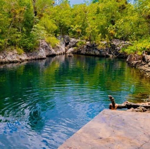 Visit to Guamá and Laguna del Tesoro - Guama