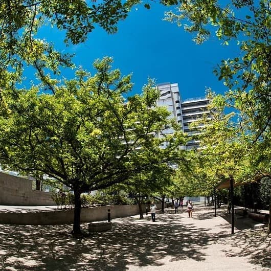 City Tour Medellin (Compartido) - Medellín