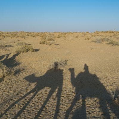 Scoprire il deserto di Thar a dorso di dromedario - Jaisalmer