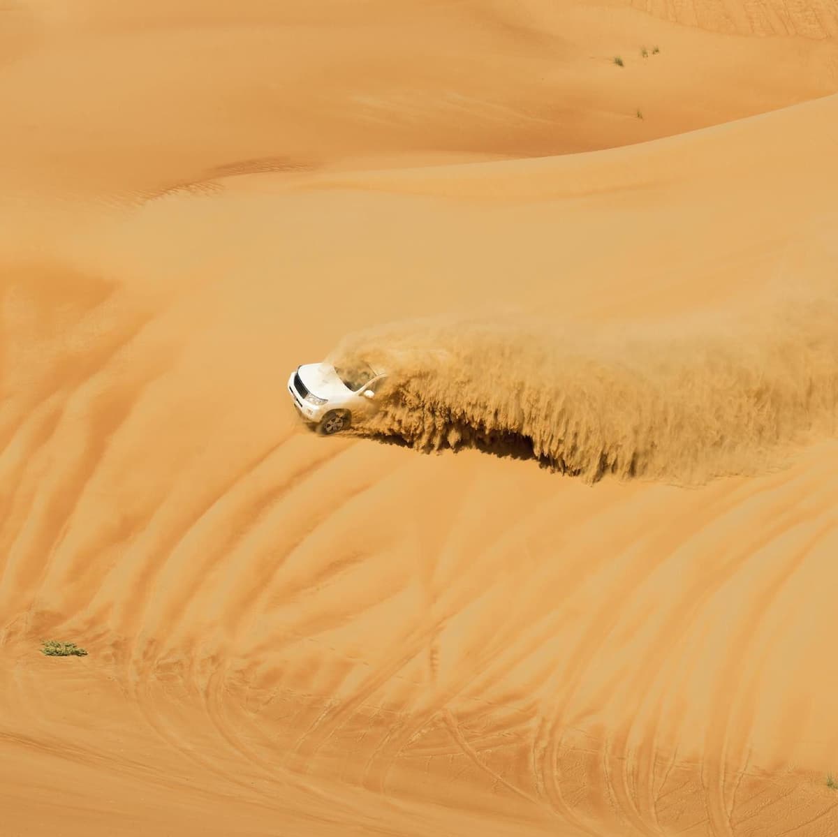 Desert Safari - Dubai