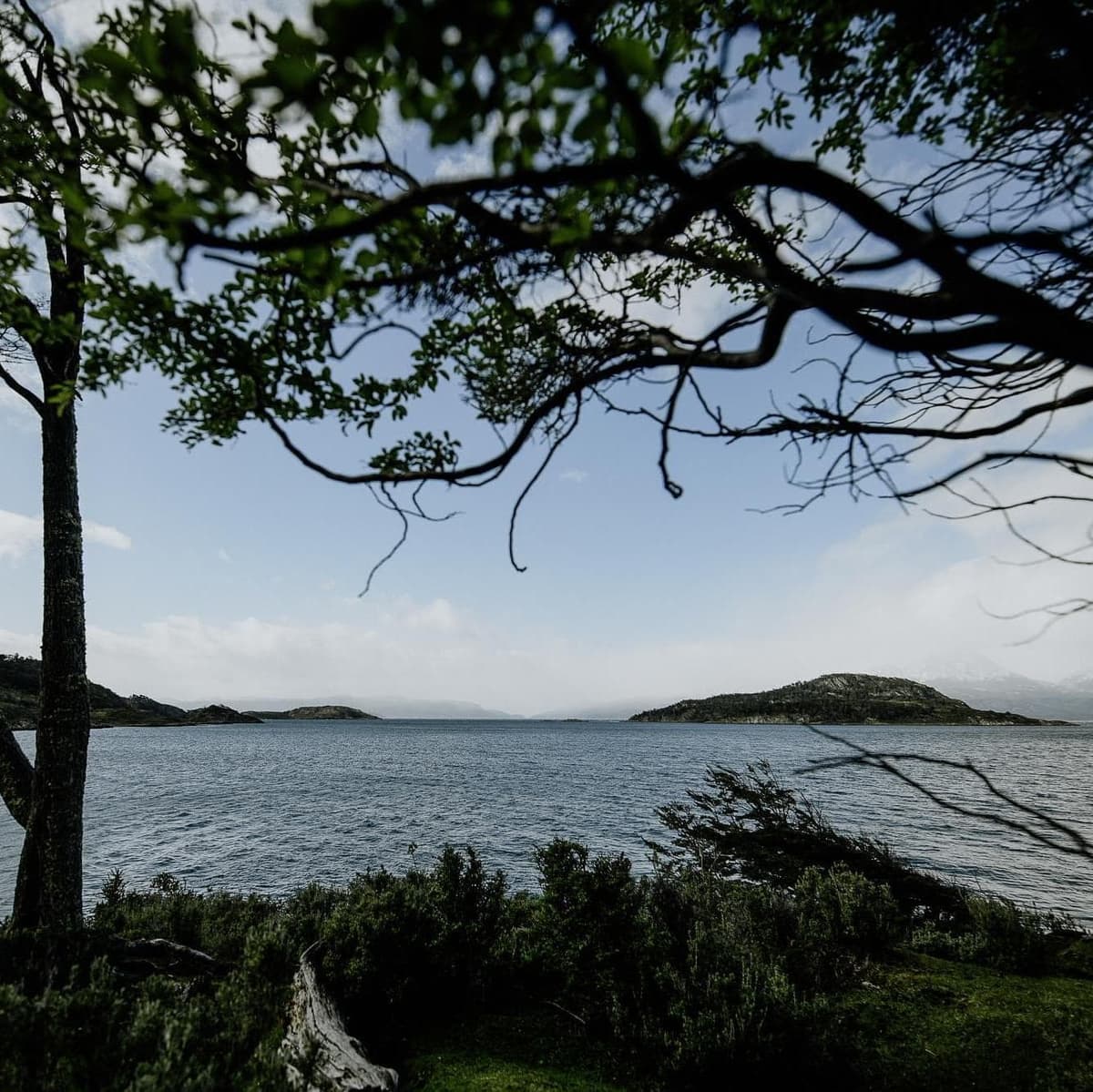 Tierra del Fuego National Park: Trekking through the forests and bays of the Beagle Channel - Ushuaia