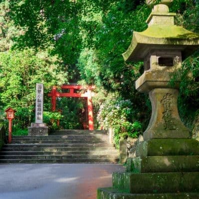 Visita di Hakone con salita in funivia verso Owakudani e minicrociera sul lago Ashi - Hakone