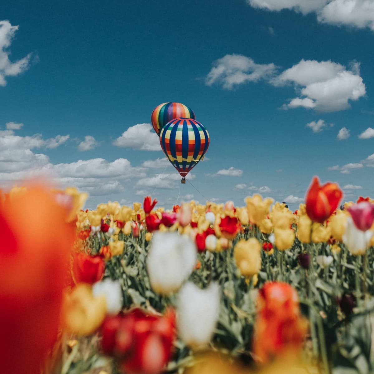 Hot Air Balloon + Motorcycles (Same Location) - مسکو