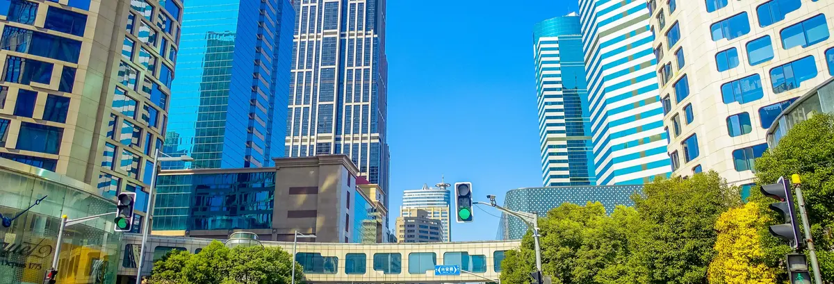 Private Modern Shanghai Guided Tour